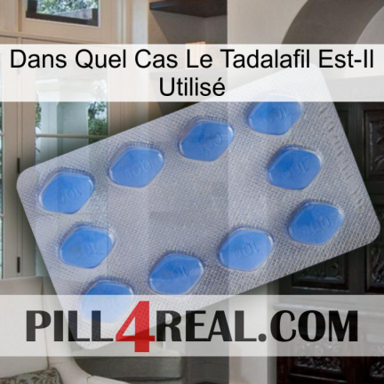 Dans Quel Cas Le Tadalafil Est-Il Utilisé 21
